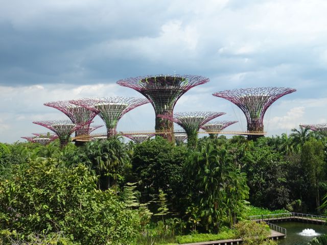 Singapour